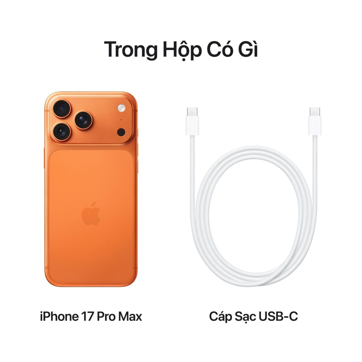 iPhone 17 Pro Max - Ảnh 10