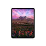 iPad Pro M5 11 inches - Ảnh 3