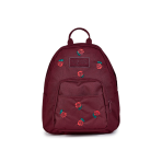 Balo Jansport (USA) Half Pint FX 10.2L – JS0A3C4J